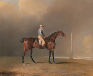 Diamond, con Dennis Fitzpatrick in Sella